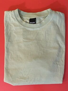 Only NY Men's Short Sleeve Tee in Pale Green